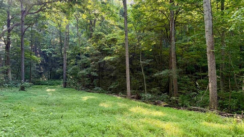 Tiny photo for off Co Rd 750 S, French Lick, IN 47432 (MLS # 202627636)