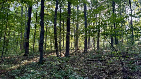 Tiny photo for off Co Rd 750 S, French Lick, IN 47432 (MLS # 202627636)