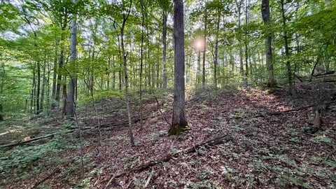 Tiny photo for off Co Rd 750 S, French Lick, IN 47432 (MLS # 202627636)