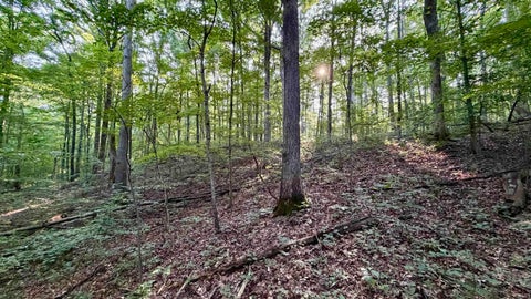 Tiny photo for off Co Rd 750 S, French Lick, IN 47432 (MLS # 202627636)