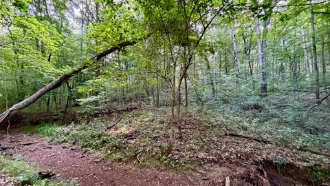 Tiny photo for off Co Rd 750 S, French Lick, IN 47432 (MLS # 202627636)