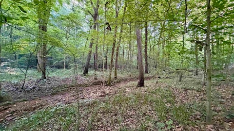 Tiny photo for off Co Rd 750 S, French Lick, IN 47432 (MLS # 202627636)