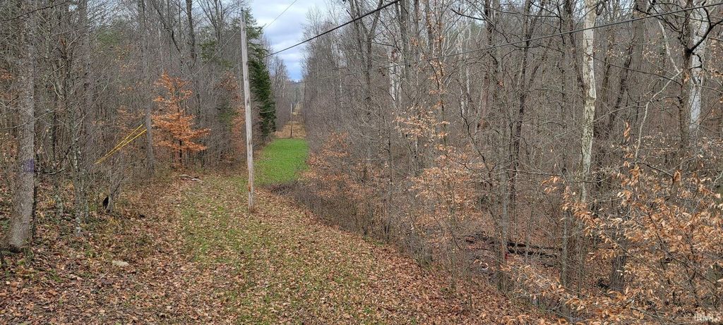 Photo of 62.2 Acres Blanton Road, Mitchell, IN 47446 (MLS # 202547661)