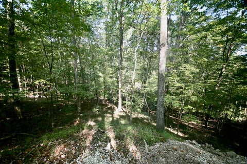 Tiny photo for 6691 E Lampkins Ridge Road, Bloomington, IN 47401 (MLS # 202632254)