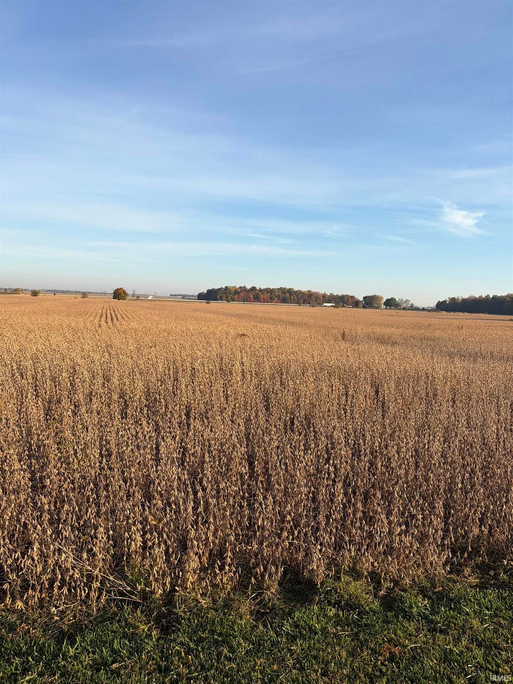 Photo of TBD Hamilton Road, Yoder, IN 46798 (MLS # 202644483)