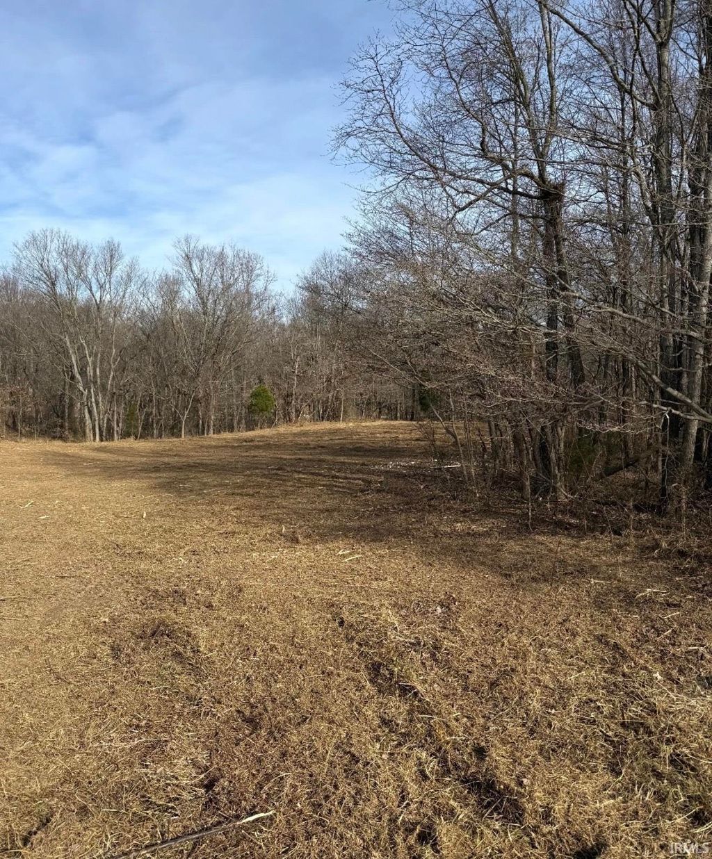 Photo of 0 State Road 70, Chrisney, IN 47611 (MLS # 202601519)