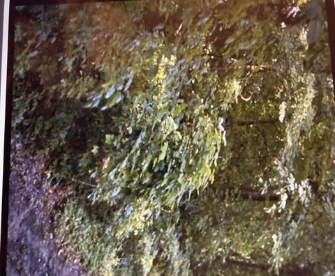 Photo of 2923 Skyline Drive, Evansville, IN 47712 (MLS # 202545520)