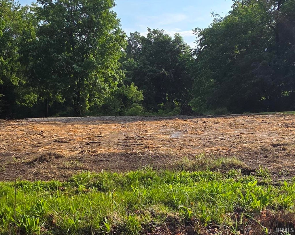 Photo of 744 W Main Street, Bruceville, IN 47516 (MLS # 202618769)