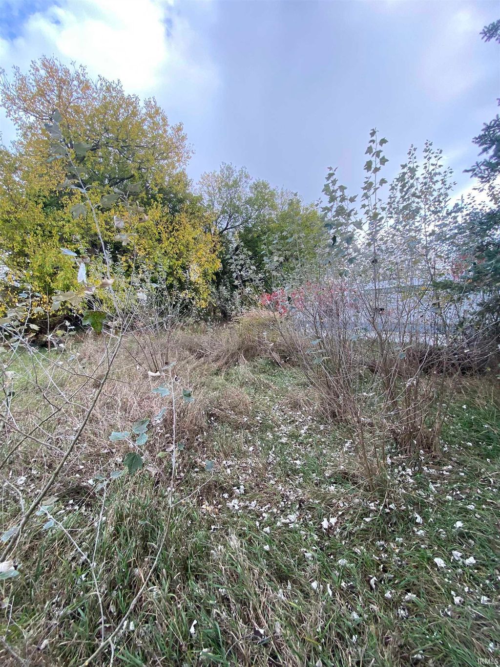 Photo of 1511 S 1275 E, Akron, IN 46910 (MLS # 202543634)