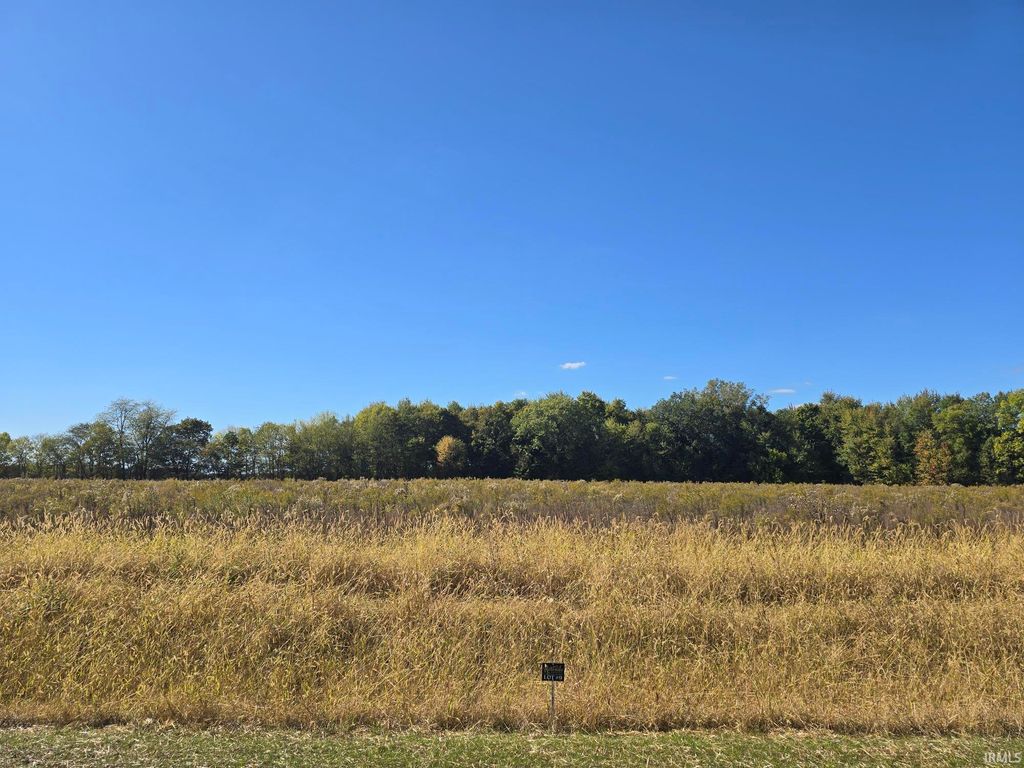 Photo of Lot 9 County Road 17 Drive, Auburn, IN 46706 (MLS # 202541344)