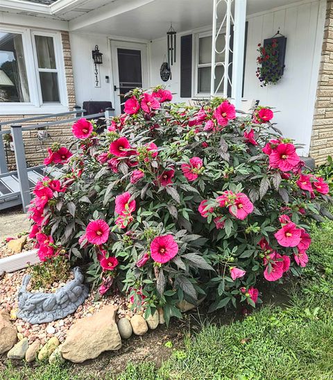 Tiny photo for 1317 W ZARTMAN Road, Kokomo, IN 46902 (MLS # 202601313)