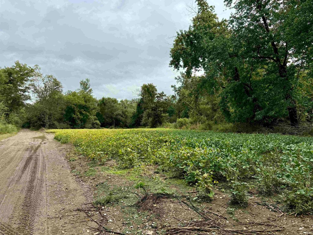 Photo of off River Road, Rockport, IN 47635 (MLS # 202542108)