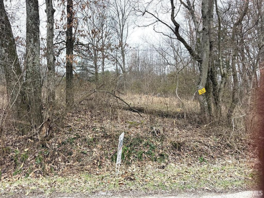 Photo of Pleasant O'Haver Street, Carlisle, IN 47838 (MLS # 202607579)