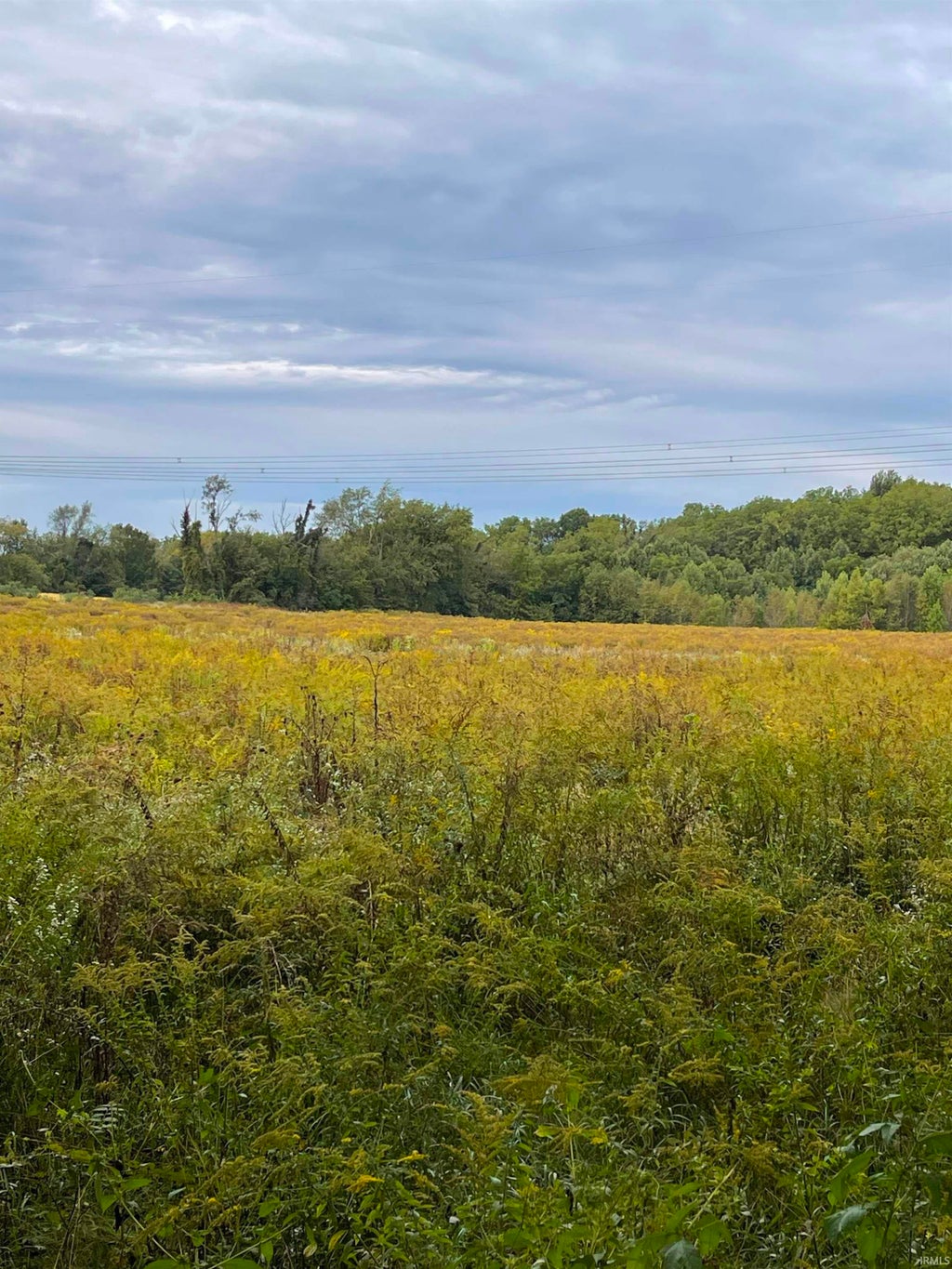 Photo of 0 County Line Road, New Carlisle, IN 46552 (MLS # 202640061)