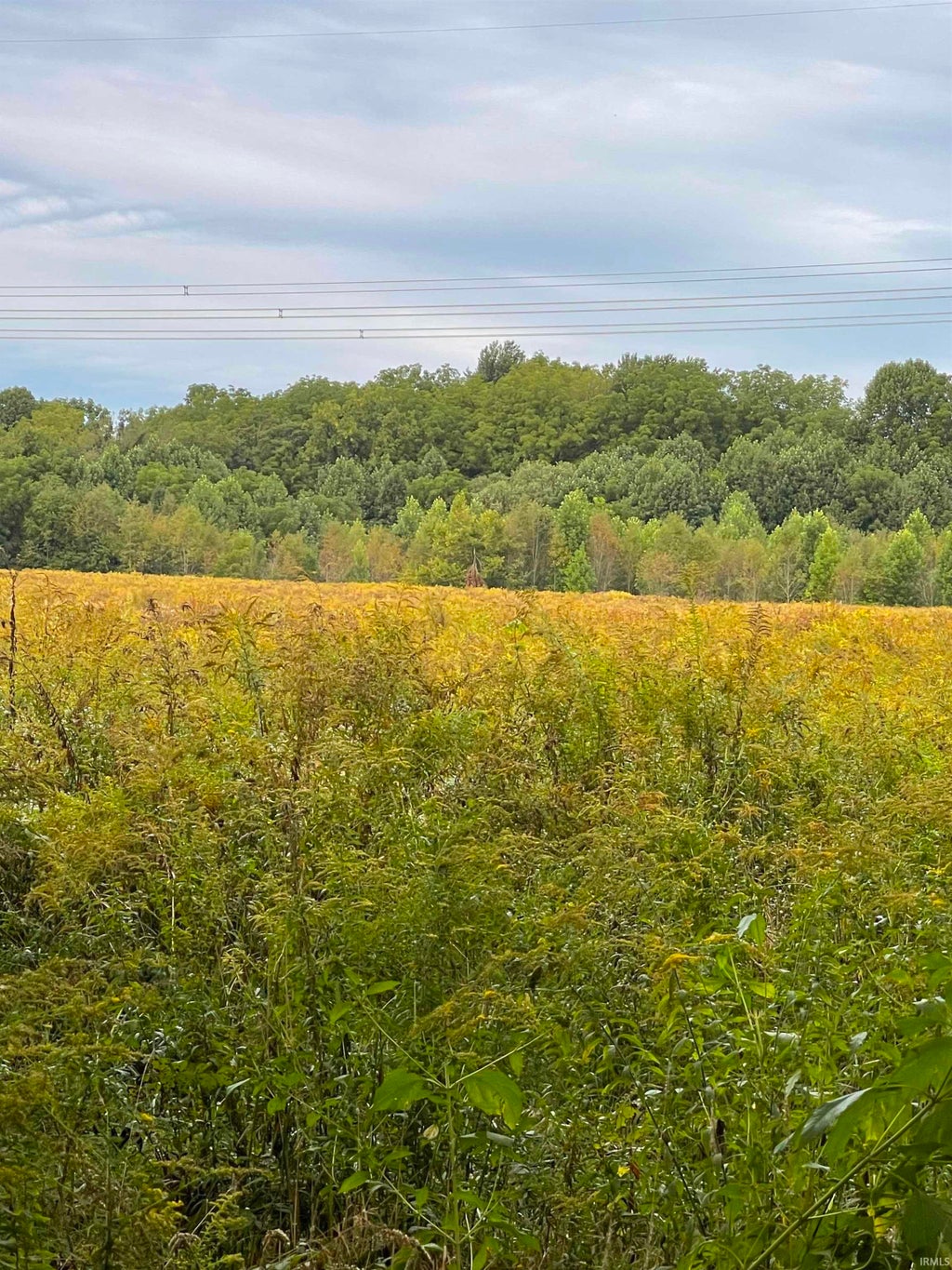 Photo of 0 County Line Road, New Carlisle, IN 46552 (MLS # 202640061)