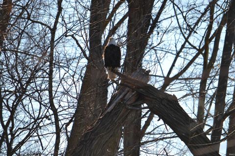 Tiny photo for 6404 N sunset Boulevard, Macy, IN 46951 (MLS # 202607715)