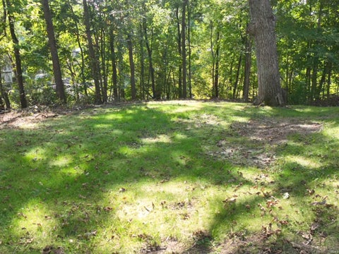 Tiny photo for 0 Highland Cove, Monticello, IN 47960 (MLS # 202640707)