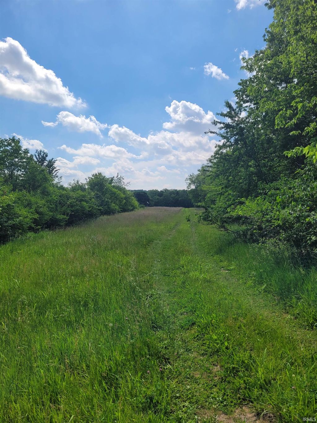 Photo of W State Road 18 RD, Delphi, IN 46923 (MLS # 202620462)