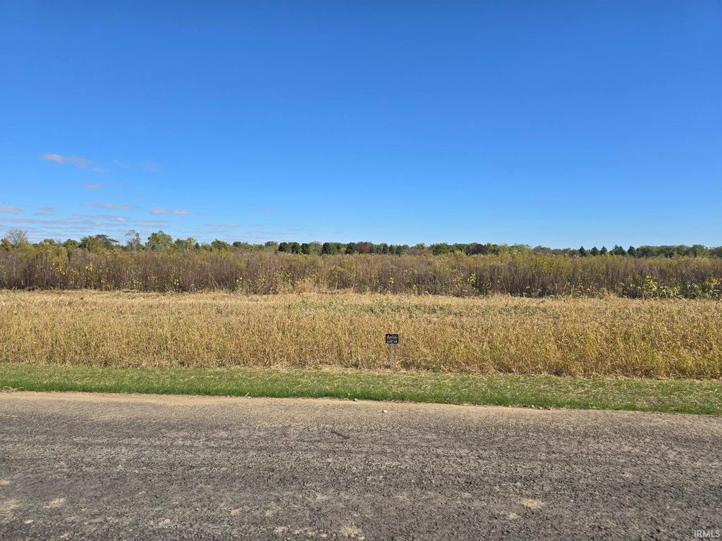 Photo of Lot 5 County Road 17 Drive, Auburn, IN 46706 (MLS # 202541340)