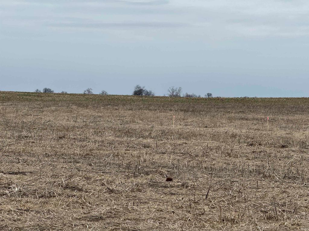 Photo of CR 925, Haubstadt, IN 47639 (MLS # 202605534)