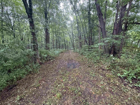 Tiny photo for V/L W 800 N ST, Michigan City, IN 46360 (MLS # 202637806)