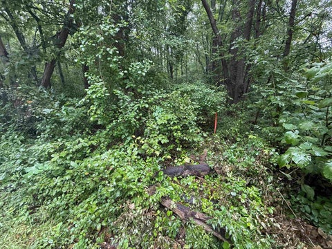 Tiny photo for V/L W 800 N ST, Michigan City, IN 46360 (MLS # 202637806)