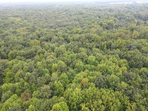 Tiny photo for V/L W 800 N ST, Michigan City, IN 46360 (MLS # 202637806)