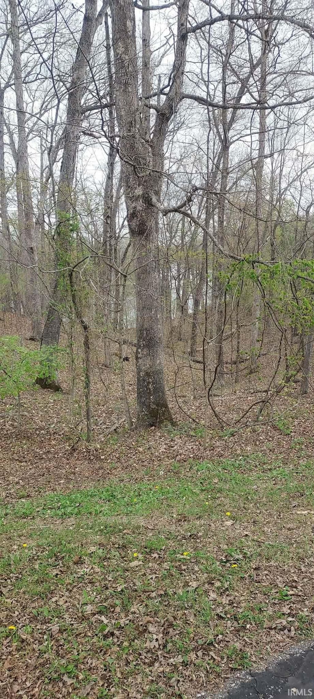 Photo of LOTS 20A &amp; 21 Hickory Ridge Lane, Huntingburg, IN 47542 (MLS # 202612838)