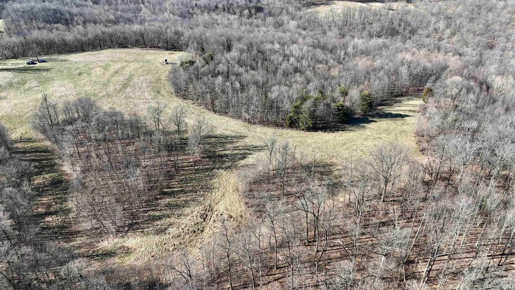 Photo of 0 S Harts Gravel Road, Birdseye, IN 47513 (MLS # 202603010)