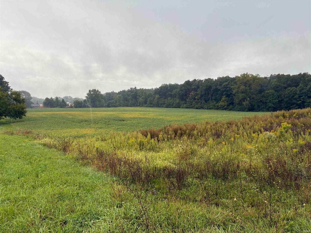 Photo of 9301 N 416 E Road, Albany, IN 47320 (MLS # 202639137)