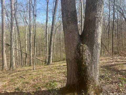 Tiny photo for Lower Schooner Road, Nashville, IN 47448 (MLS # 202613549)