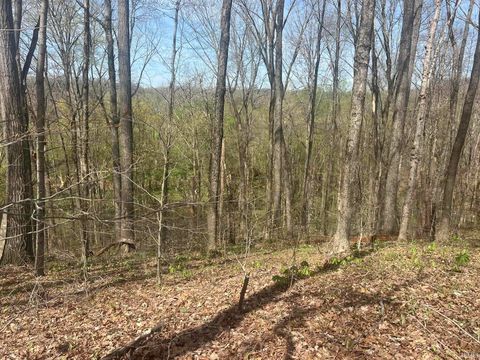 Tiny photo for Lower Schooner Road, Nashville, IN 47448 (MLS # 202613549)