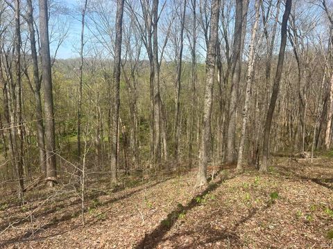 Tiny photo for Lower Schooner Road, Nashville, IN 47448 (MLS # 202613549)