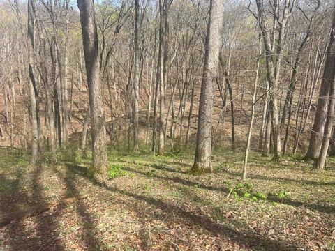 Tiny photo for Lower Schooner Road, Nashville, IN 47448 (MLS # 202613549)