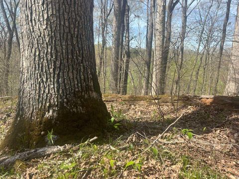 Tiny photo for Lower Schooner Road, Nashville, IN 47448 (MLS # 202613549)