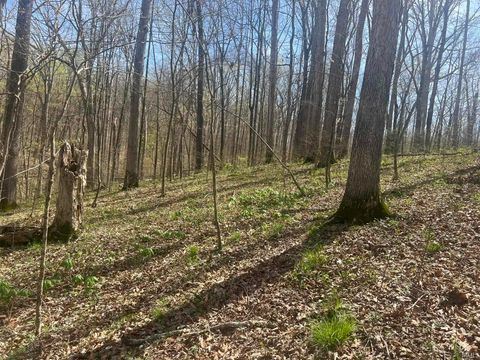 Tiny photo for Lower Schooner Road, Nashville, IN 47448 (MLS # 202613549)