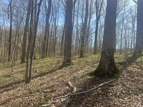 Tiny photo for Lower Schooner Road, Nashville, IN 47448 (MLS # 202613549)