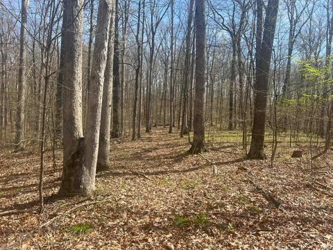 Tiny photo for Lower Schooner Road, Nashville, IN 47448 (MLS # 202613549)