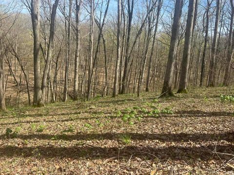 Tiny photo for Lower Schooner Road, Nashville, IN 47448 (MLS # 202613549)