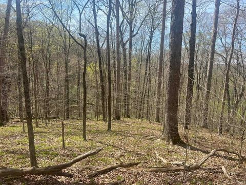 Tiny photo for Lower Schooner Road, Nashville, IN 47448 (MLS # 202613549)