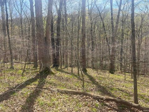 Tiny photo for Lower Schooner Road, Nashville, IN 47448 (MLS # 202613549)