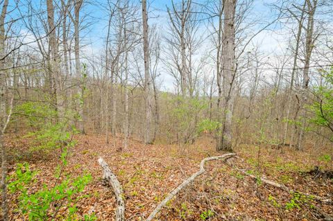 Photo of Lower Schooner Road, Nashville, IN 47448 (MLS # 202613549)
