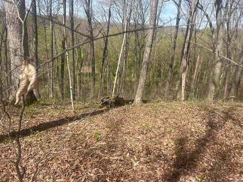 Tiny photo for Lower Schooner Road, Nashville, IN 47448 (MLS # 202613549)