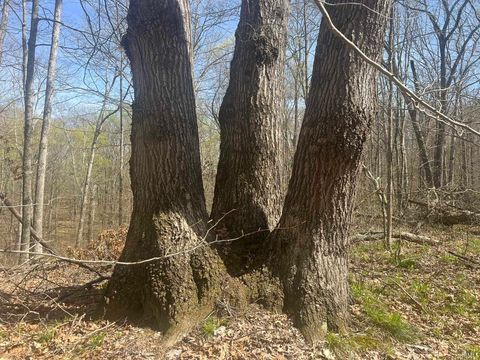 Tiny photo for Lower Schooner Road, Nashville, IN 47448 (MLS # 202613549)