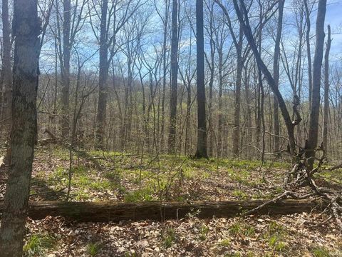 Tiny photo for Lower Schooner Road, Nashville, IN 47448 (MLS # 202613549)