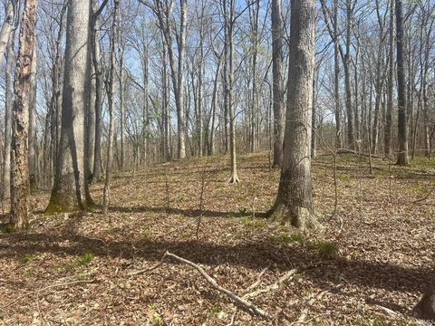 Tiny photo for Lower Schooner Road, Nashville, IN 47448 (MLS # 202613549)