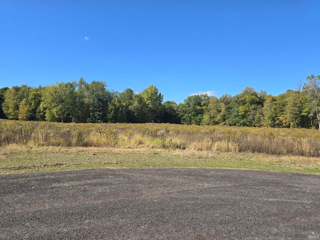Photo of Lot 7 County Road 17 Drive, Auburn, IN 46706 (MLS # 202541342)