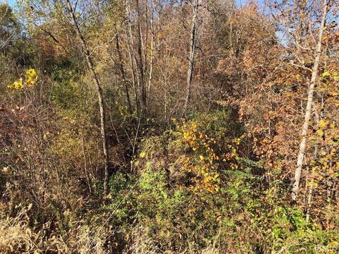 Tiny photo for 5562 W 100 N, Huntington, IN 46750 (MLS # 202544853)