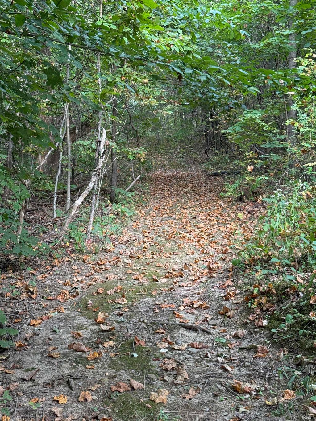 Photo of 8134 S Rockport Road, Bloomington, IN 47403 (MLS # 202538236)