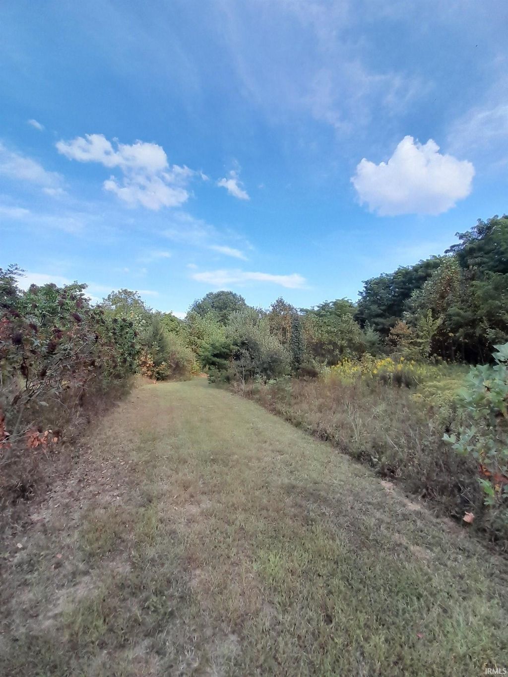 Photo of 8134 S Rockport Road, Bloomington, IN 47403 (MLS # 202538236)